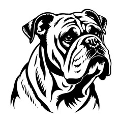 bulldog cartoon on white background illustration