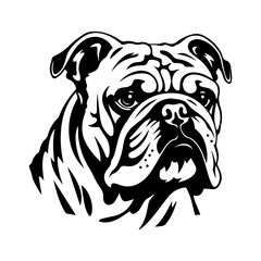 bulldog cartoon on white background illustration