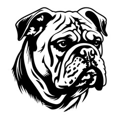 bulldog cartoon on white background illustration