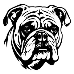 bulldog cartoon on white background illustration