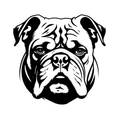 bulldog cartoon on white background illustration
