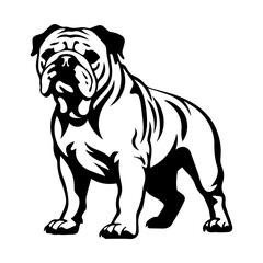 bulldog cartoon on white background illustration