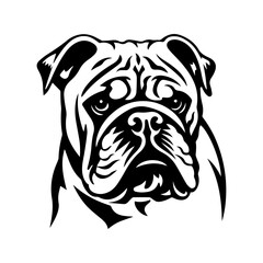 bulldog cartoon on white background illustration