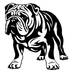 bulldog cartoon on white background illustration