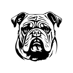bulldog cartoon on white background illustration