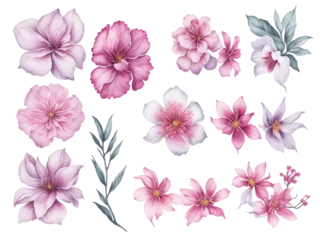 Fototapeten set of watercolor sakura elements on transparent background,  generative ai © Nisit