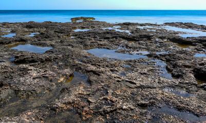 Flat rocky shore with many littoral puddles rich in life, in the eastern Crimea, Black Sea