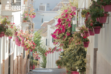 Fototapeta na wymiar Alley with plenty of flowers, white yown in Spain