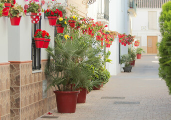 Colorful flower pots in an alley, Spain