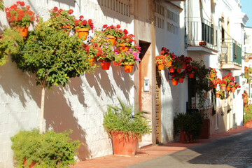 Spanish town, narrow white street with colorful flower pots, summer