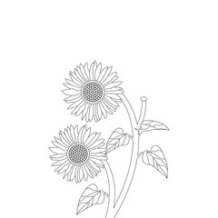Sunflower Line Art on a White Background Vector Illustration