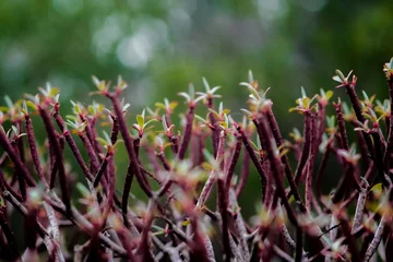 Hands up in the garden © Katarzyna