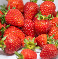 Beautiful red ripe strawberries are seen harvested on a white background and ready to be consumed.