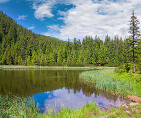 Fototapeta premium Summer mountain lake Marichejka and fir forest reflection (Ukraine, Chornogora Ridge, Carpathian Mountains)