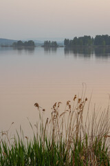 Beautiful pink sunset on lake, river, islands, reeds, grass, vertical frame, reflections. Beautiful calm landscape.
