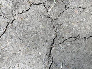 dried up, cracked clay soil during a drought