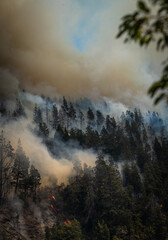 hydrant plane fights fires. Helicopter works on the fires