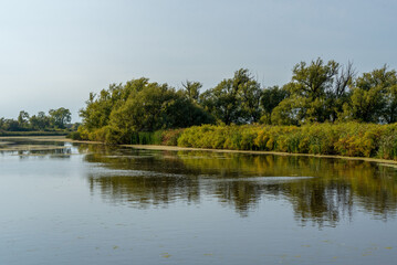Supple Marsh In September, Fond du Lac, Wisconsin