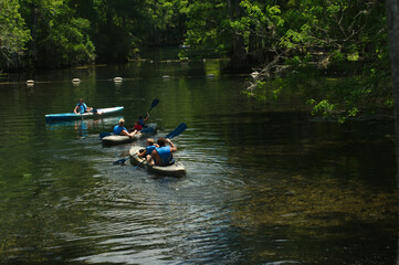 Kayaking in the  Manatee Springs State Park in Florida. Sunny day calm  waters and green trees. 