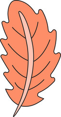 autumn leaf illustration