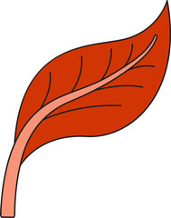 autumn leaf illustration