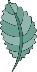 tropical leaf illustration