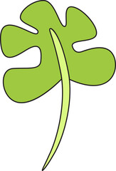 tropical leaf illustration