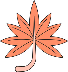 leaf icon illustration