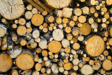 Background of dry chopped firewood logs stacked up on top of each other