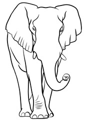 Elephant outline illustration on transparent background