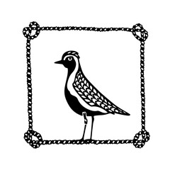 Vector card with hand drawn cute Golden Plover in nautical rope frame. Ink drawing, decorative graphic style. Beautiful animal design elements, perfect for logo design