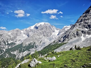 Fototapeta na wymiar Ortler höchster Berg Südtirols