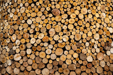 Madeira - meio ambiente