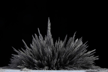 Reaction of iron dust to a magnetic field. Iron filings spikes. Neodymium magnet. Isolated on a black background. Visualisation of magnetic field.