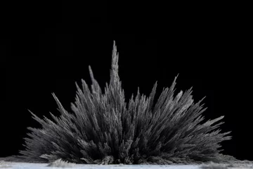 Foto op Canvas Reaction of iron dust to a magnetic field. Iron filings spikes. Neodymium magnet. Isolated on a black background. Visualisation of magnetic field. © Denis