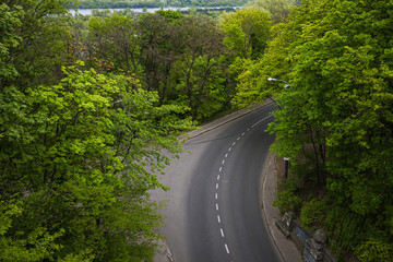 Winding road surrounded by trees, aerial view