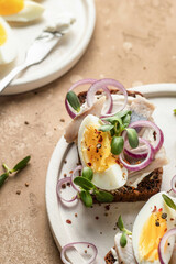 Smorrebrod sandwiches with herring fillet, rye bread, cream cheese, boiled egg slices, onion rings and microgreens on white dish rustic style