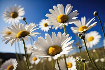 Daisies in white against a blue sky backdrop. Generative AI