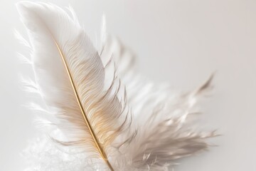 Beautiful fluffy white feather on a background of white, abstract feather. high quality. Copy design and text spacing. Pastel beige and white are the colors. high quality. Generative AI