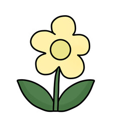 flower isolated on white