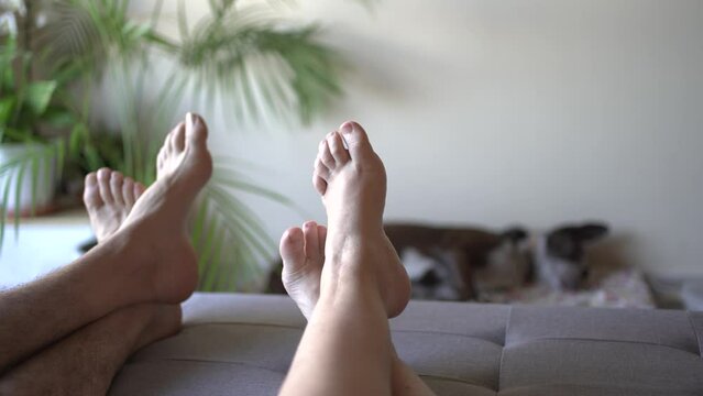 bare feet on a pouf resting at home on a summer day, in the background an unfocused dog in his quiet bed.