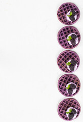 Purple round soft waffle with cream cheese and blackberries. Waffles with the addition of blackberry puree. White background. Top view