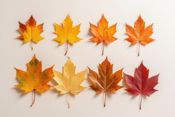 Naklejka na ściany i meble Autumn Maple Leaf Transition and Variation Concept for Fall (Generative AI)