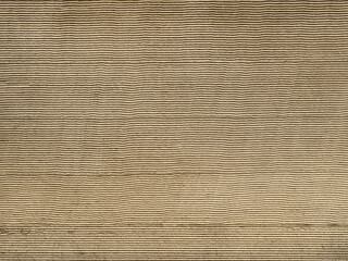 建物の壁