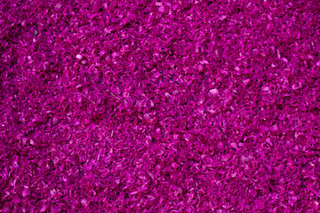 Textura de serragem de madeira. Magenta