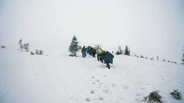 A group of tourists with backpacks and raincoats climb a mountain in the snow with the help of ski poles, make their way through strong wind, blowing snow and blizzard, yuman, poor visibility in the