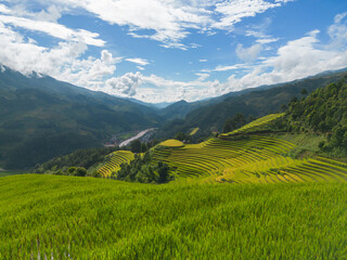 Aerial top view of fresh paddy rice terraces, green agricultural fields in countryside or rural area of Mu Cang Chai, mountain hills valley in Asia, Vietnam. Nature landscape background.