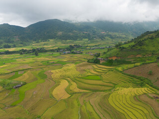 Fototapeta premium Aerial top view of fresh paddy rice terraces, green agricultural fields in countryside or rural area of Mu Cang Chai, mountain hills valley in Asia, Vietnam. Nature landscape background.