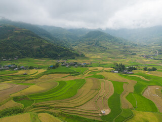 Naklejka premium Aerial top view of fresh paddy rice terraces, green agricultural fields in countryside or rural area of Mu Cang Chai, mountain hills valley in Asia, Vietnam. Nature landscape background.