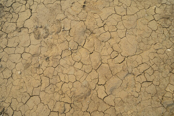 Dry ground rough cracks in the land with sand in paddy rice field. serious water shortages and Drought barren arid pattern texture background.